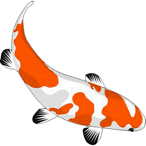 Fisch