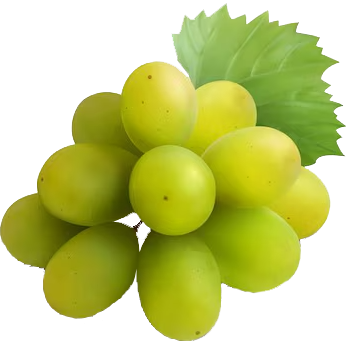 Weintrauben